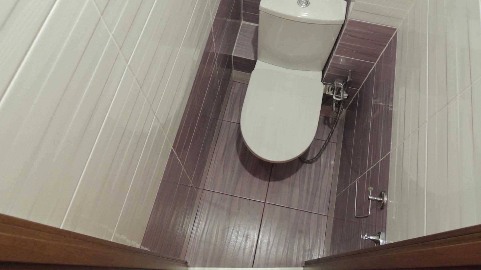 gallery-toilet1