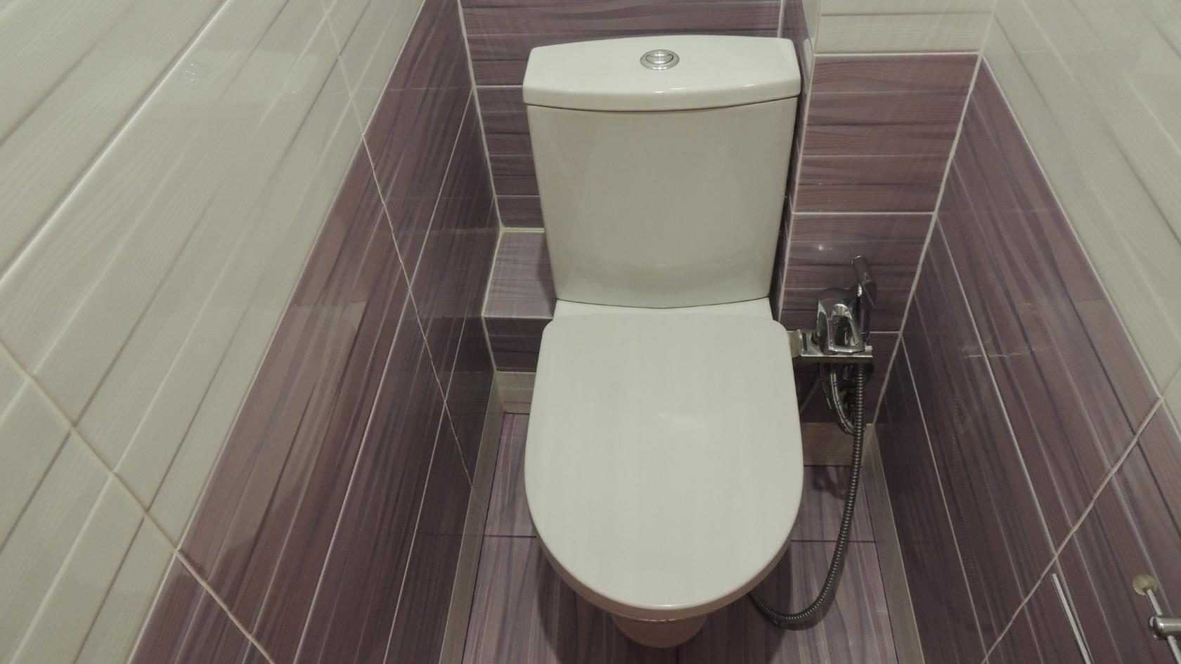 gallery-toilet2